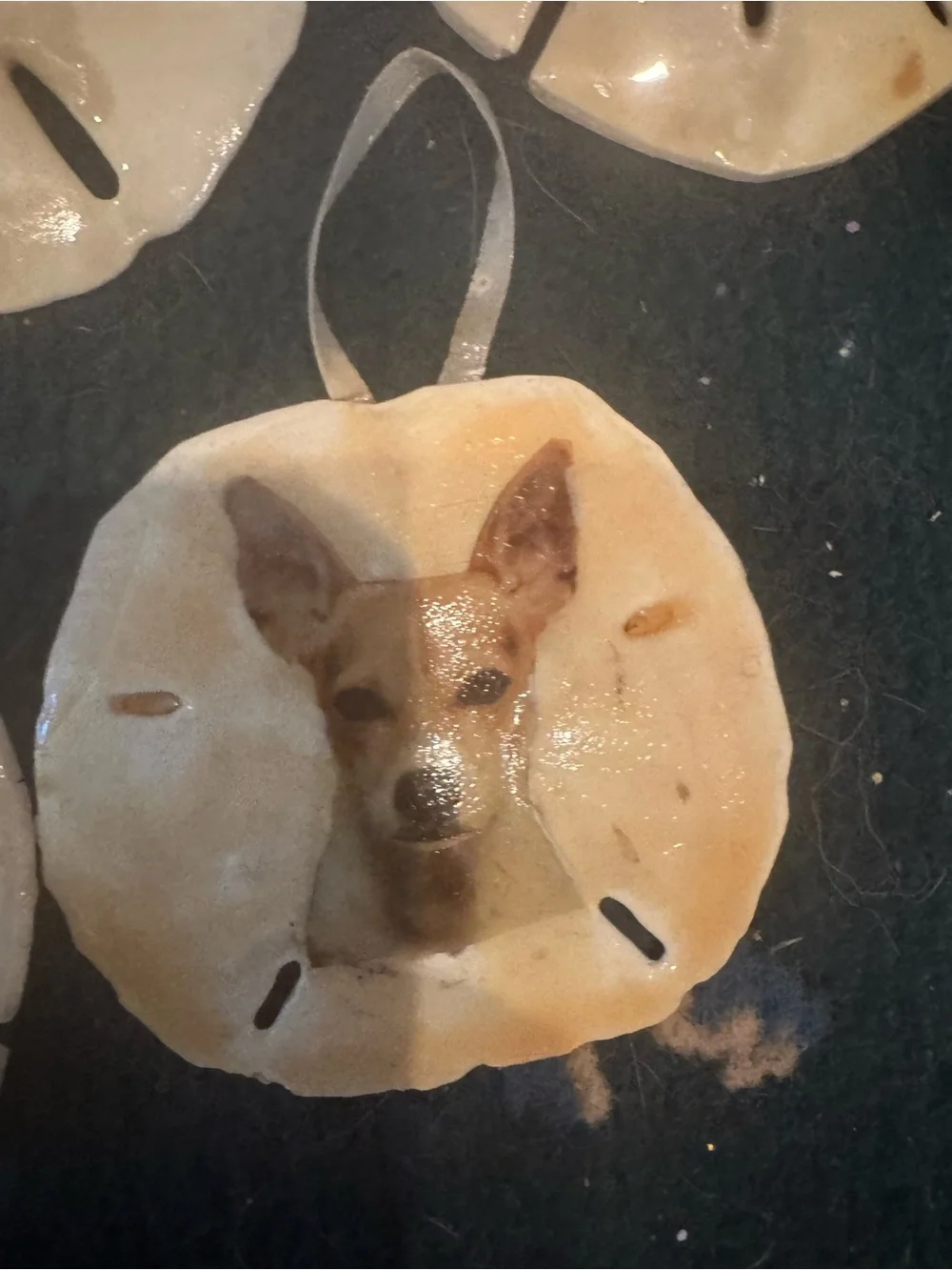 Custom Pet Photo real Sand Dollar Ornaments - Personalized Dog Photo (Beige)